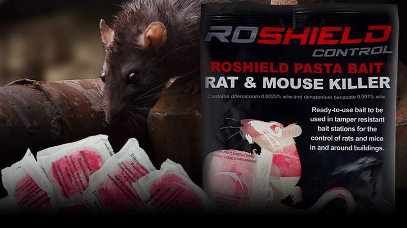 Roshield pasta bait for control of rats and mice